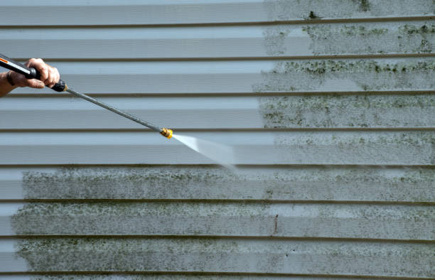 Best Residential Mold Removal  in Buchanan, GA